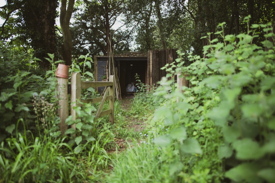 A photo of an overgrown garden via Unsplash. Jo's garden is pictured in an old photo within the text but it's not great quality.
