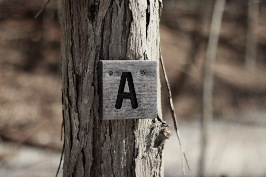 A wooden letter A sign nailed to a tree