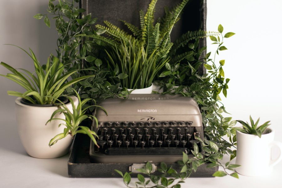 A photo of an old typewriter that has plants placed where the paper would be and potted plants either side as well to symbolise writing flourishing.