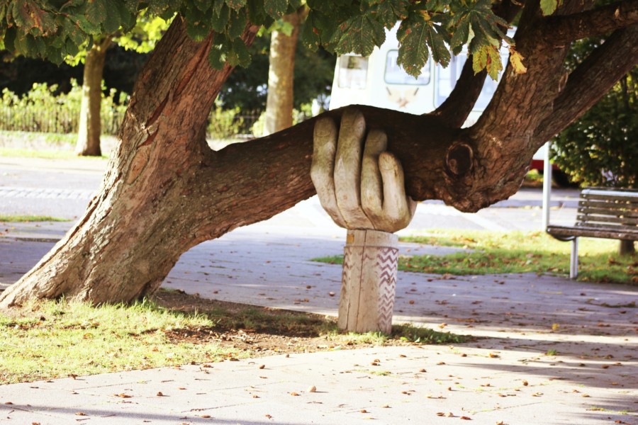 A wooden carved sculpture of a hand appears to hold up a tree trunk that is growing partially horizontally from the ground. The hand shaped support holds it up and allows it to get back to growing vertically without falling over.