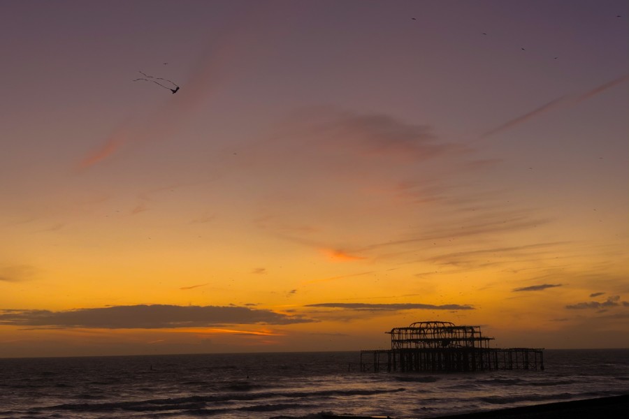 A bright purple, orange and yellow sunset over the Brighton seaside where the burnt metal frame of the old Brighton Pier building casts a dark silhouette on the sky.