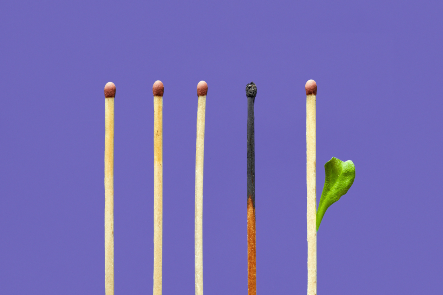 A photo of 5 small matchsticks lined up horizontally against a bright purple background. The first 3 matchsticks from the left are unlit, the 4th matchstick is burned from previous use and the 5th one on the right shows a small green leaf shooting out from the side.