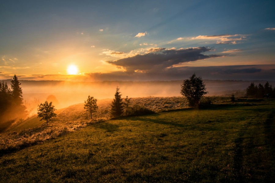 A countryside field with dewy mist, clouds and tree silhouettes against a bright orange sunrise.